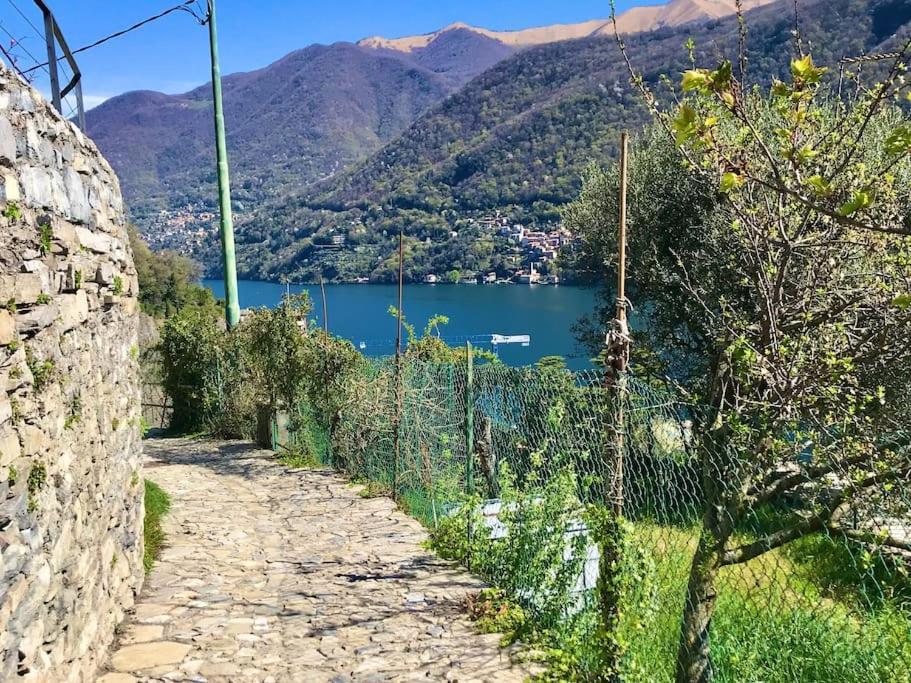Romantic Home Stone With Amazing View Lake Of Como And Oleandra Laglio Extérieur photo