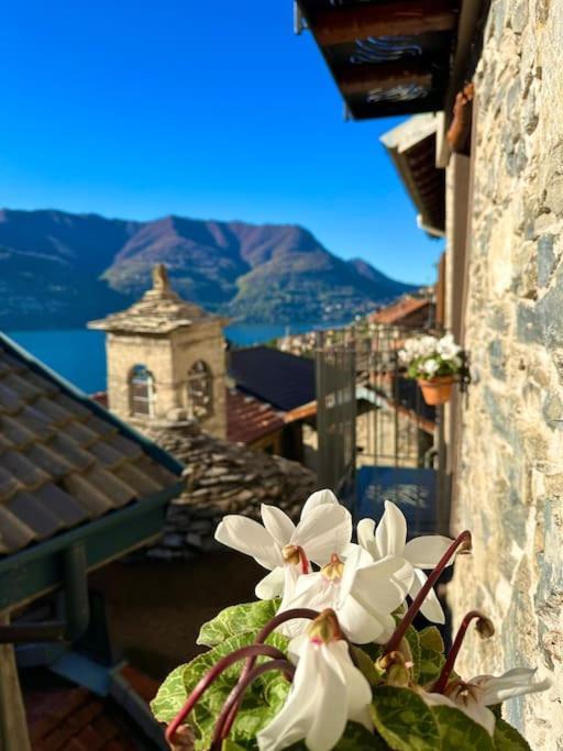 Romantic Home Stone With Amazing View Lake Of Como And Oleandra Laglio Extérieur photo